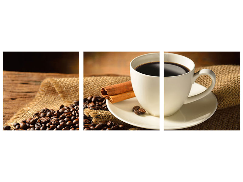 panoramic-3-piece-canvas-print-coffee-break-ii