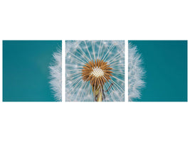 panoramic-3-piece-canvas-print-dandelion-a