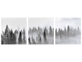 panoramic-3-piece-canvas-print-foggy-forest