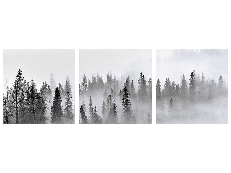 panoramic-3-piece-canvas-print-foggy-forest