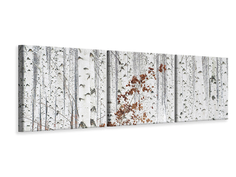 panoramic-3-piece-canvas-print-from-white