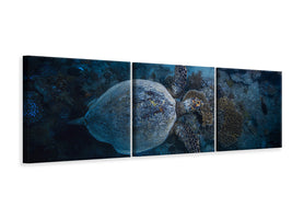 panoramic-3-piece-canvas-print-hawksbill-sea-turtle-ii