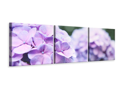 panoramic-3-piece-canvas-print-hydrangeas