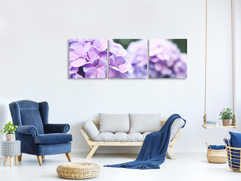 panoramic-3-piece-canvas-print-hydrangeas