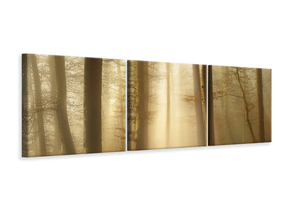 panoramic-3-piece-canvas-print-into-the-trees