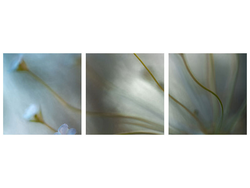 panoramic-3-piece-canvas-print-jasmine