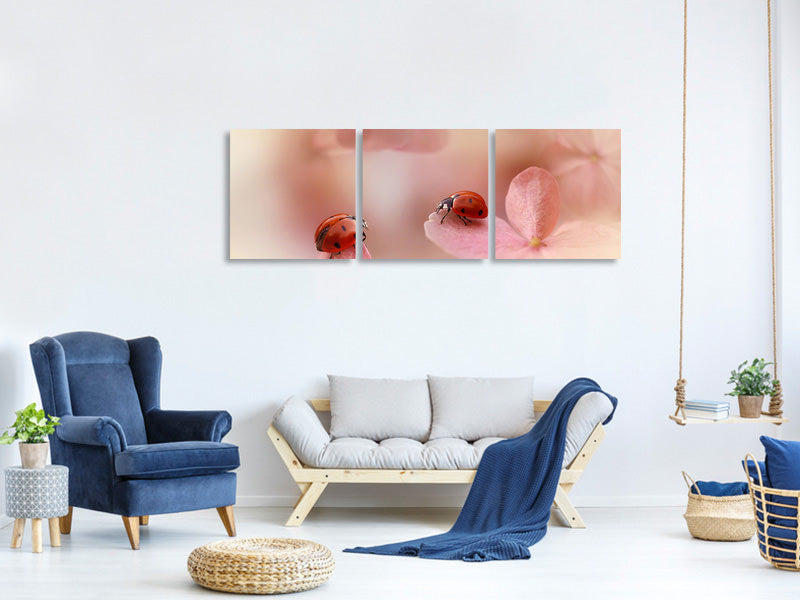 panoramic-3-piece-canvas-print-ladybirds-on-pink-hydrangea