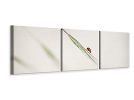 panoramic-3-piece-canvas-print-ladybug