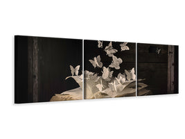 panoramic-3-piece-canvas-print-lepidopterology