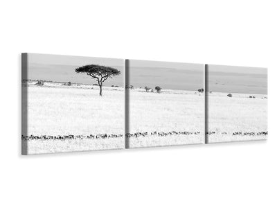 panoramic-3-piece-canvas-print-marching