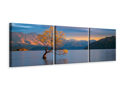 panoramic-3-piece-canvas-print-morning-glow