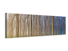 panoramic-3-piece-canvas-print-morning-of-the-forest