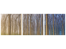 panoramic-3-piece-canvas-print-morning-of-the-forest