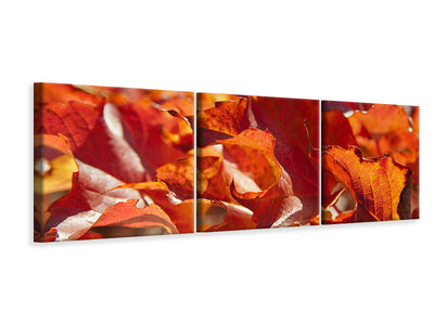 panoramic-3-piece-canvas-print-nice-autumn-leaves