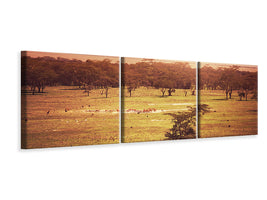 panoramic-3-piece-canvas-print-picturesque-africa