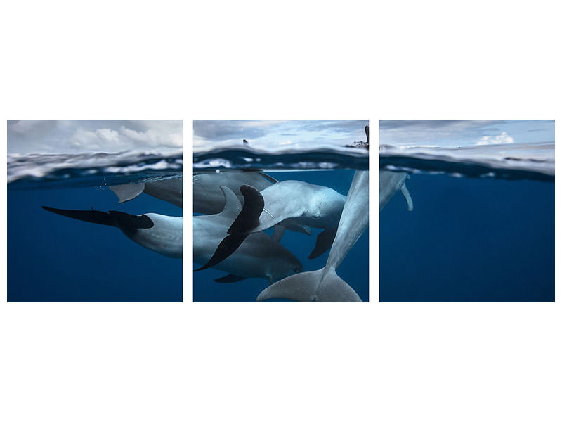 panoramic-3-piece-canvas-print-pod-of-dolphin-at-the-surface