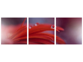 panoramic-3-piece-canvas-print-red-passion