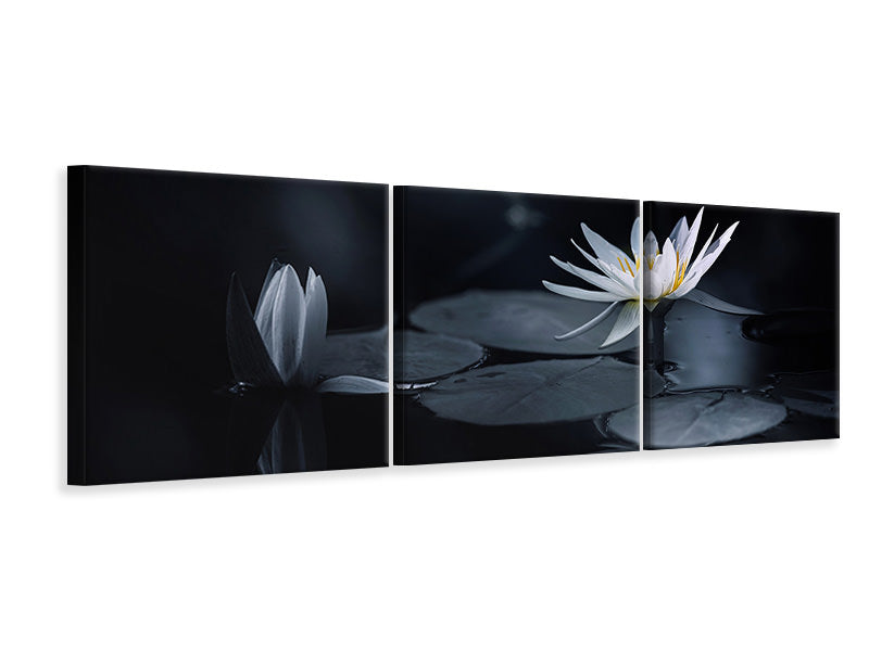 panoramic-3-piece-canvas-print-reflection-iv