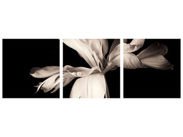 panoramic-3-piece-canvas-print-simplicity