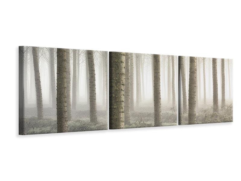 panoramic-3-piece-canvas-print-small-woodland