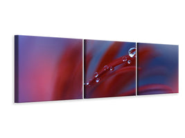 panoramic-3-piece-canvas-print-strange-feelings