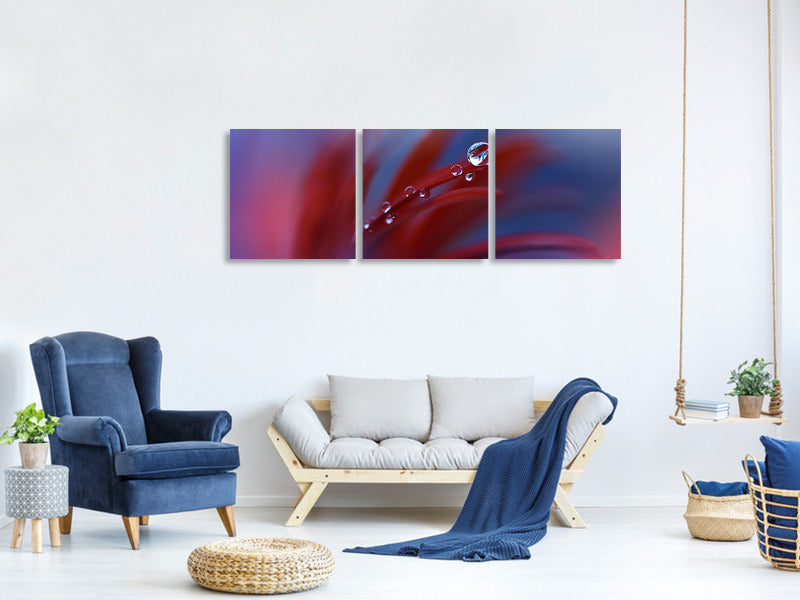 panoramic-3-piece-canvas-print-strange-feelings