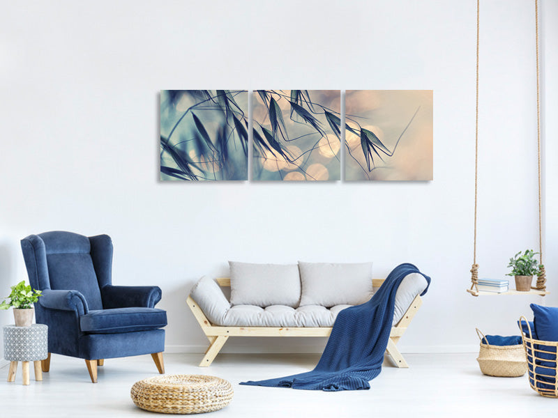 panoramic-3-piece-canvas-print-straws