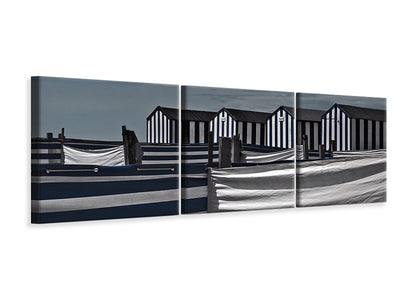 panoramic-3-piece-canvas-print-territorial-behavior