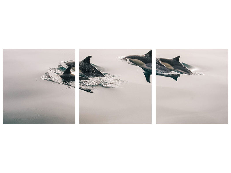 panoramic-3-piece-canvas-print-the-dolphins