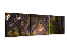 panoramic-3-piece-canvas-print-the-glowing-hedges