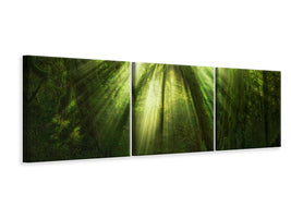 panoramic-3-piece-canvas-print-the-miracle