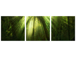panoramic-3-piece-canvas-print-the-miracle