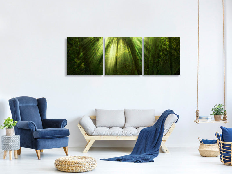 panoramic-3-piece-canvas-print-the-miracle