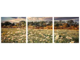 panoramic-3-piece-canvas-print-the-ox-on-the-river