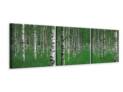 panoramic-3-piece-canvas-print-the-tunnel