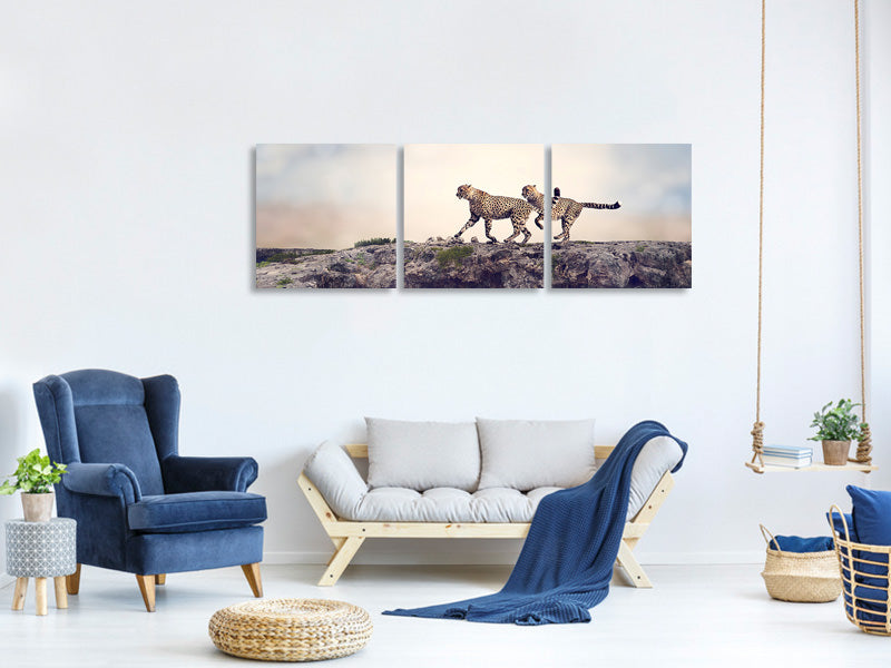 panoramic-3-piece-canvas-print-two-cheetahs