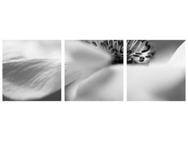 panoramic-3-piece-canvas-print-untitled-xv