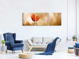 panoramic-3-piece-canvas-print-untitled-xxxi