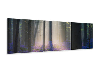 panoramic-3-piece-canvas-print-velvet-light