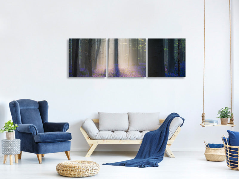 panoramic-3-piece-canvas-print-velvet-light