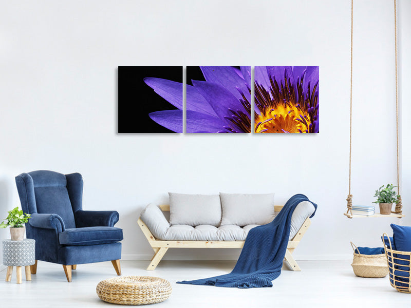 panoramic-3-piece-canvas-print-xl-water-lily-in-purple