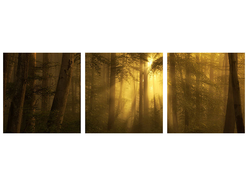 panoramic-3-piece-canvas-print-yellow-the-bigger-picture