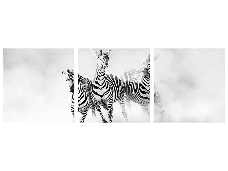 panoramic-3-piece-canvas-print-zebras