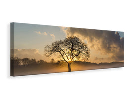 panoramic-canvas-print-a-lonely-tree