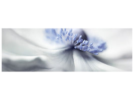 panoramic-canvas-print-anemone-spirit