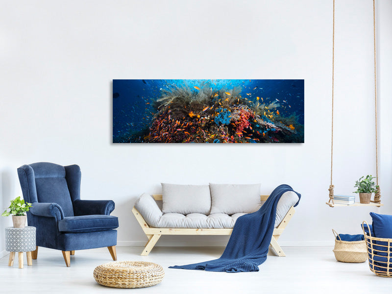 panoramic-canvas-print-apnea