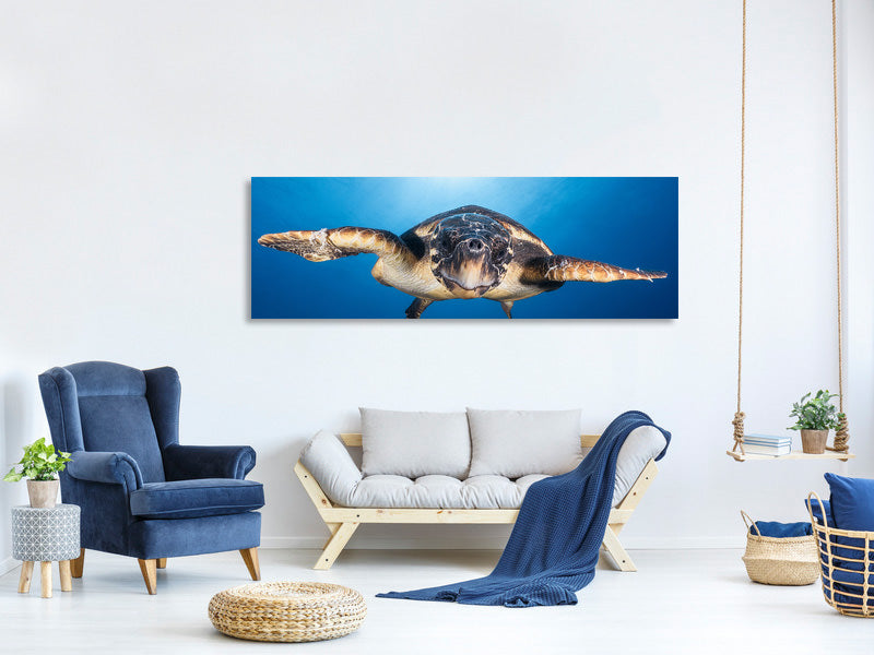 panoramic-canvas-print-face-to-face-with-a-hawksbill-sea-turtle