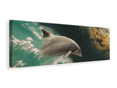 panoramic-canvas-print-fascination-dolphin