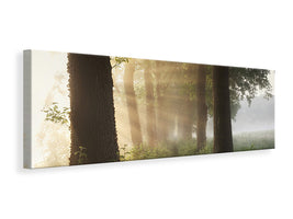 panoramic-canvas-print-first-day-of-summer