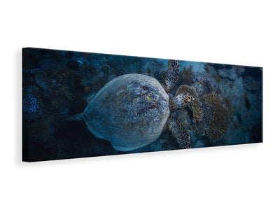 panoramic-canvas-print-hawksbill-sea-turtle-ii